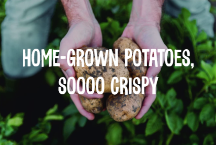 Home-grown potatoes